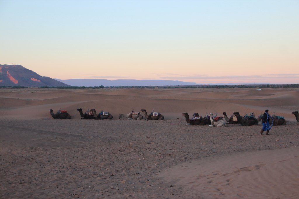 2 days adventure to Zagora from Marrakech