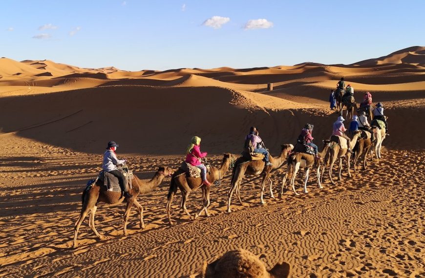 people riding camels on desert during daytime