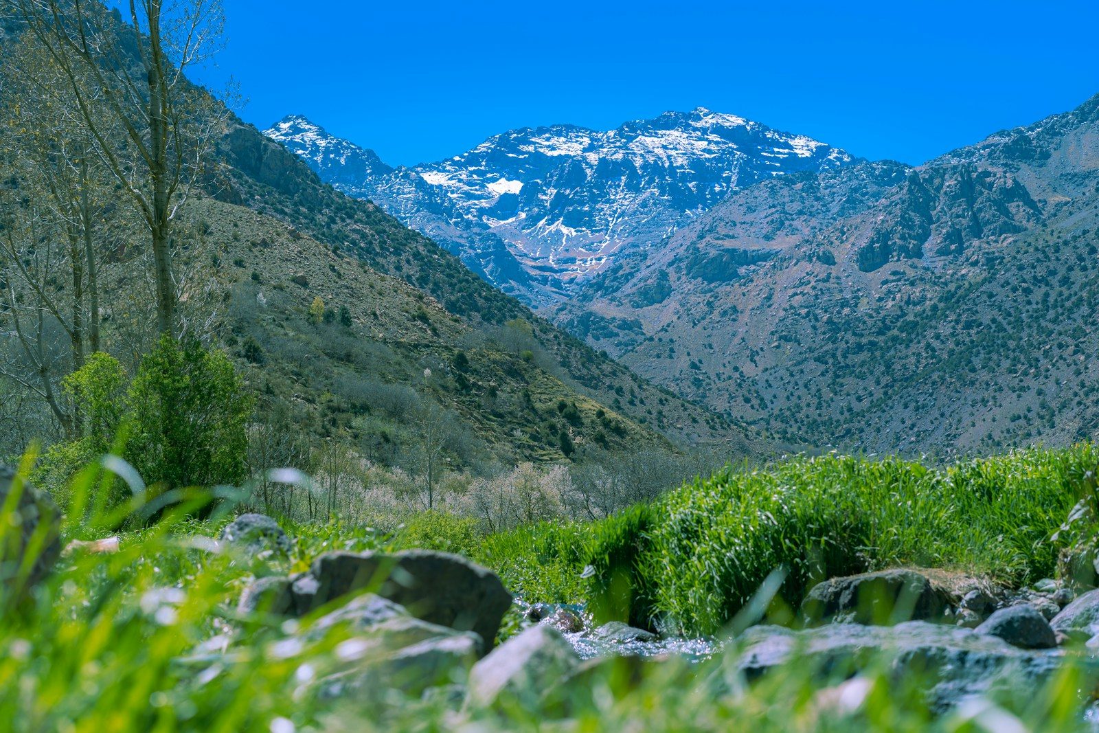 Imlil Day Trip from Marrakech